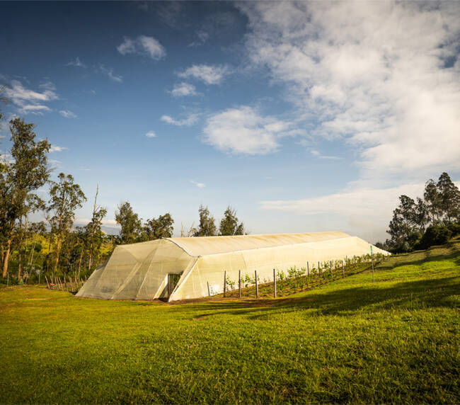 Chaupi Estancia Winery 013