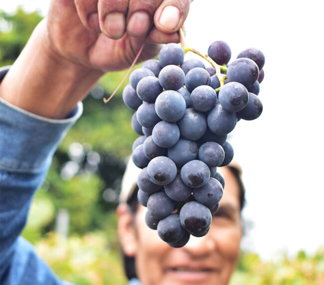 Chaupi Estancia Winery 017
